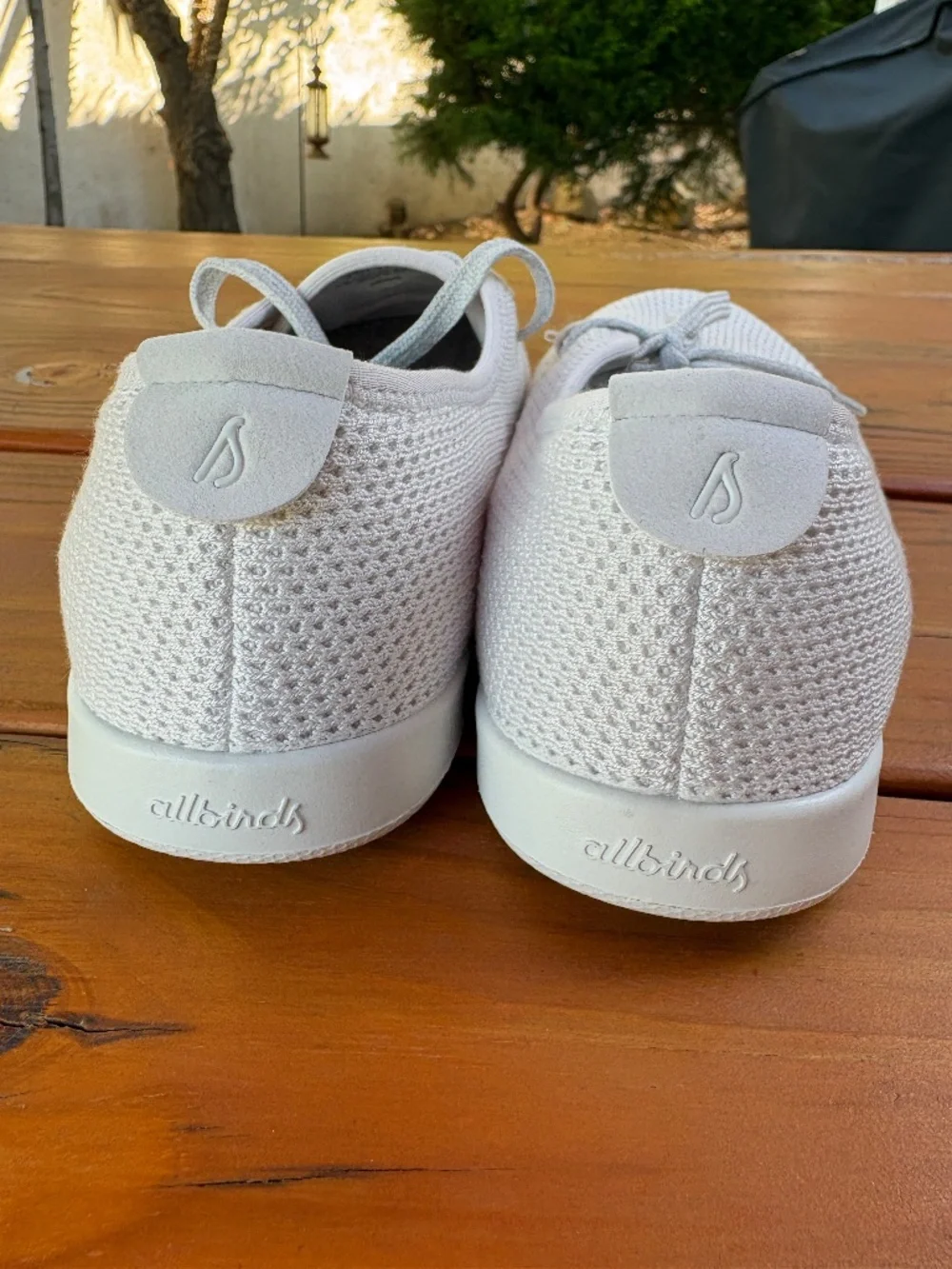 NWOB AllBirds Tree Skippers Size 9